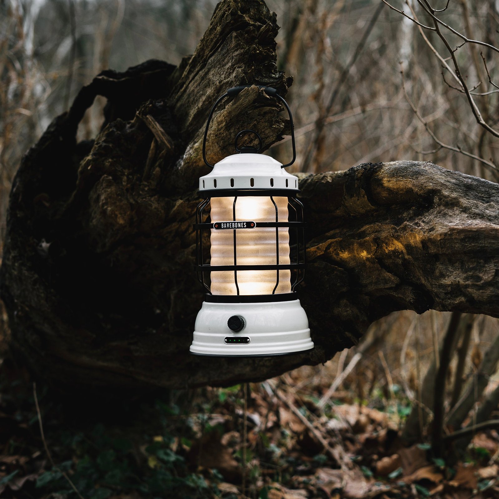 Forest Lantern - Image 23